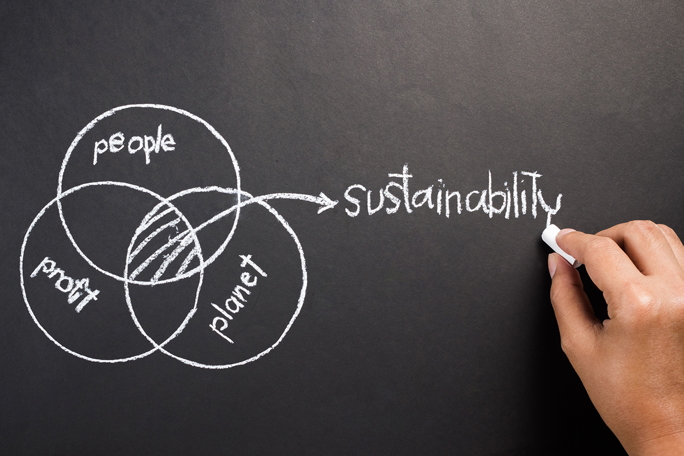 The Five Questions Every CEO Must Answer About Sustainability | Bernard Marr